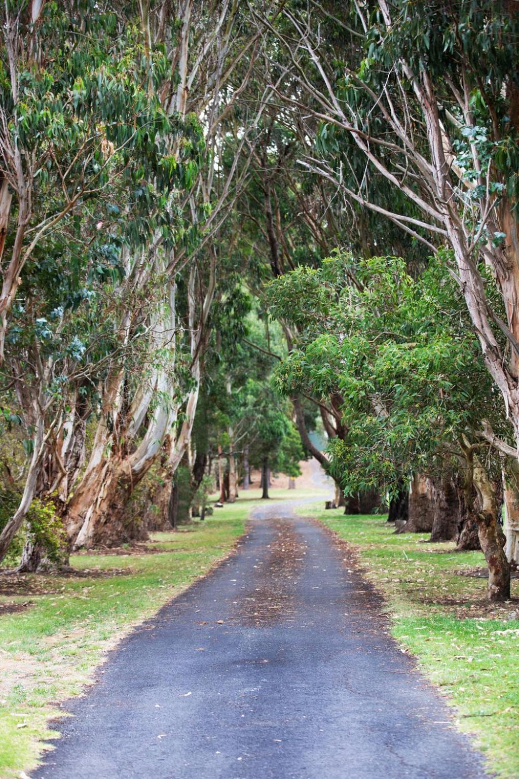 Clarendon Chalets Mount Gambier Eksteriør bilde