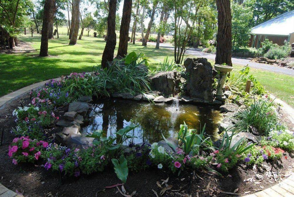 Clarendon Chalets Mount Gambier Eksteriør bilde